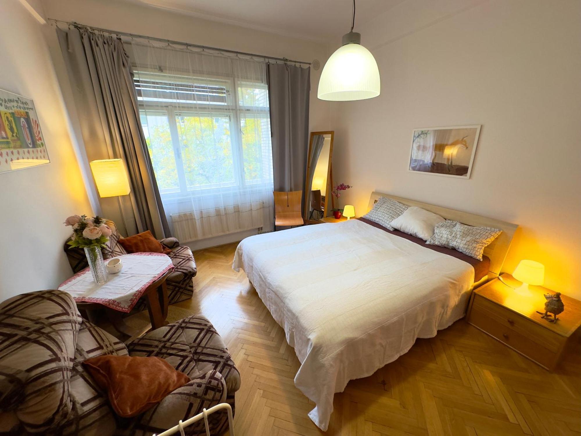 Sedlcanska - Will Save Money Here - Equipped With Antique Furniture Апартаменти *